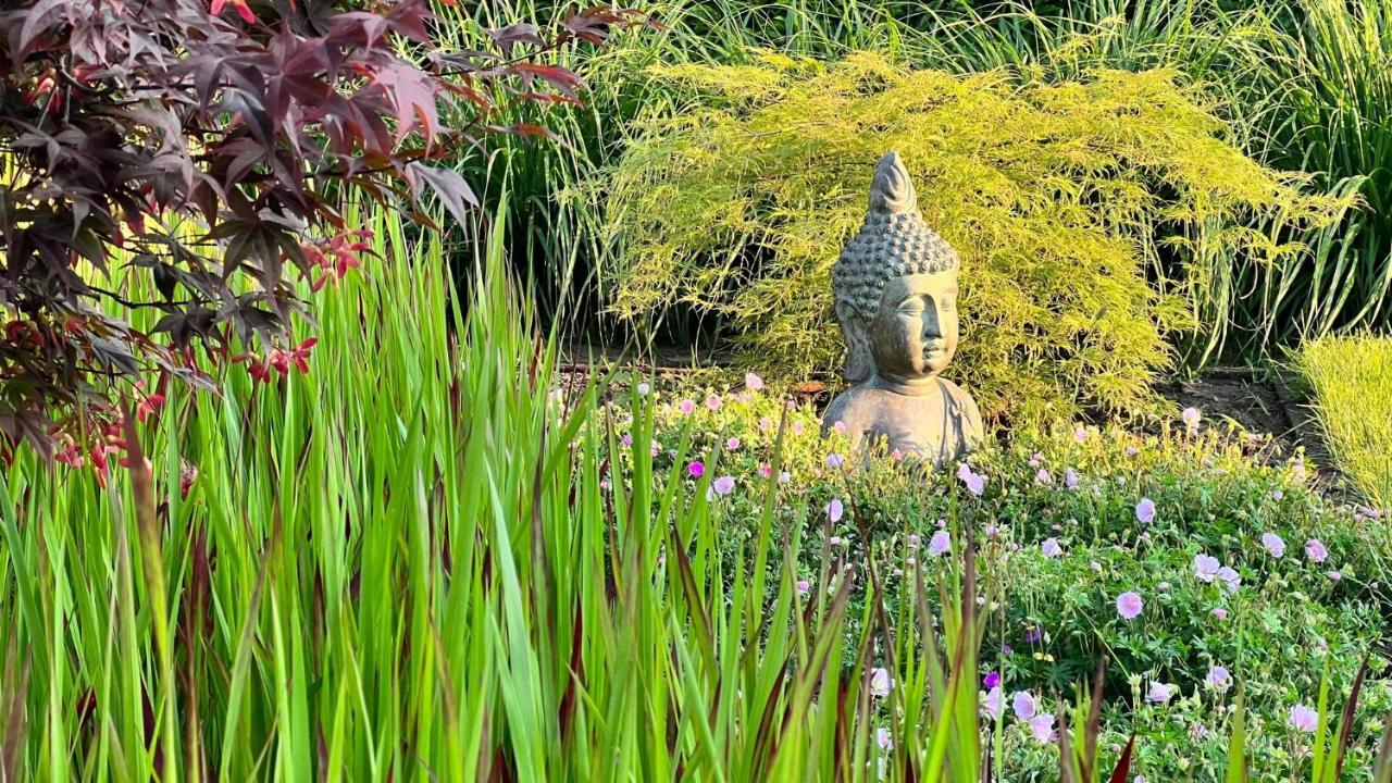 Ikigai B&B - Wellness Ауд-Тюрнхаут Экстерьер фото