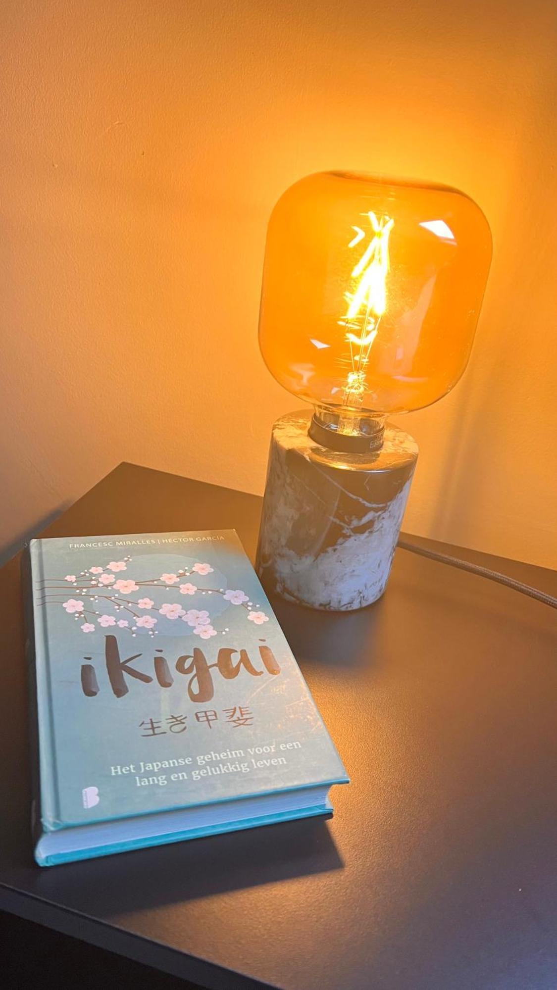 Ikigai B&B - Wellness Ауд-Тюрнхаут Номер фото